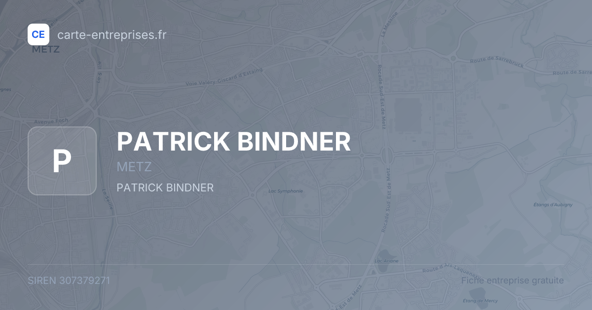 PATRICK BINDNER — 307379271 — fiche entreprise