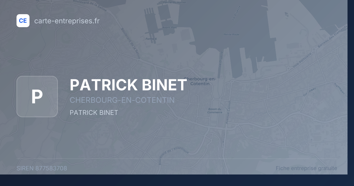 PATRICK BINET — 877583708 — fiche entreprise