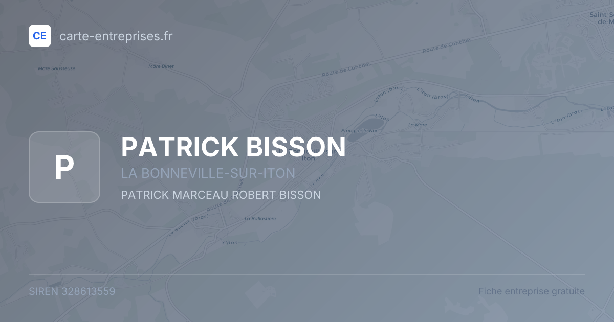 PATRICK BISSON — 328613559 — fiche entreprise