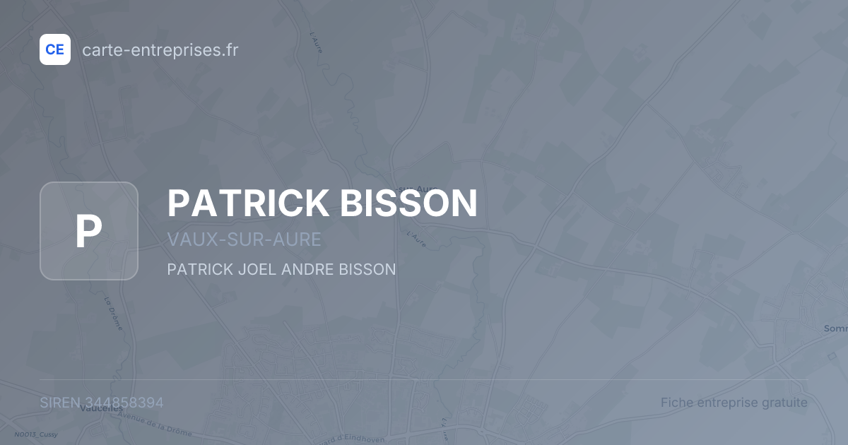 PATRICK BISSON — 344858394 — fiche entreprise