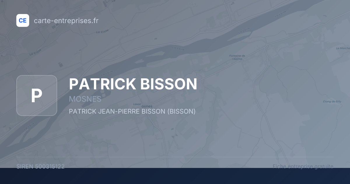 PATRICK BISSON — 500315122 — fiche entreprise