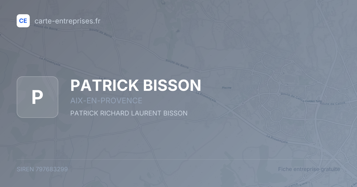 PATRICK BISSON — 797683299 — fiche entreprise