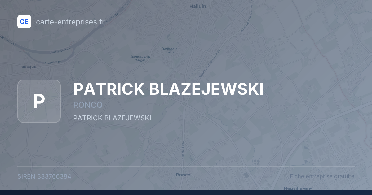PATRICK BLAZEJEWSKI — 333766384 — fiche entreprise