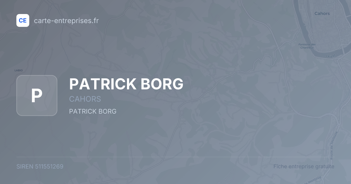 PATRICK BORG — 511551269 — fiche entreprise