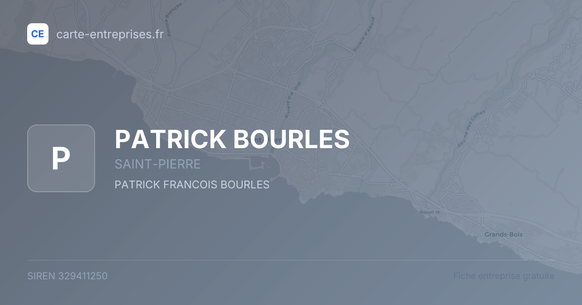 PATRICK BOURLES — 329411250 — fiche entreprise