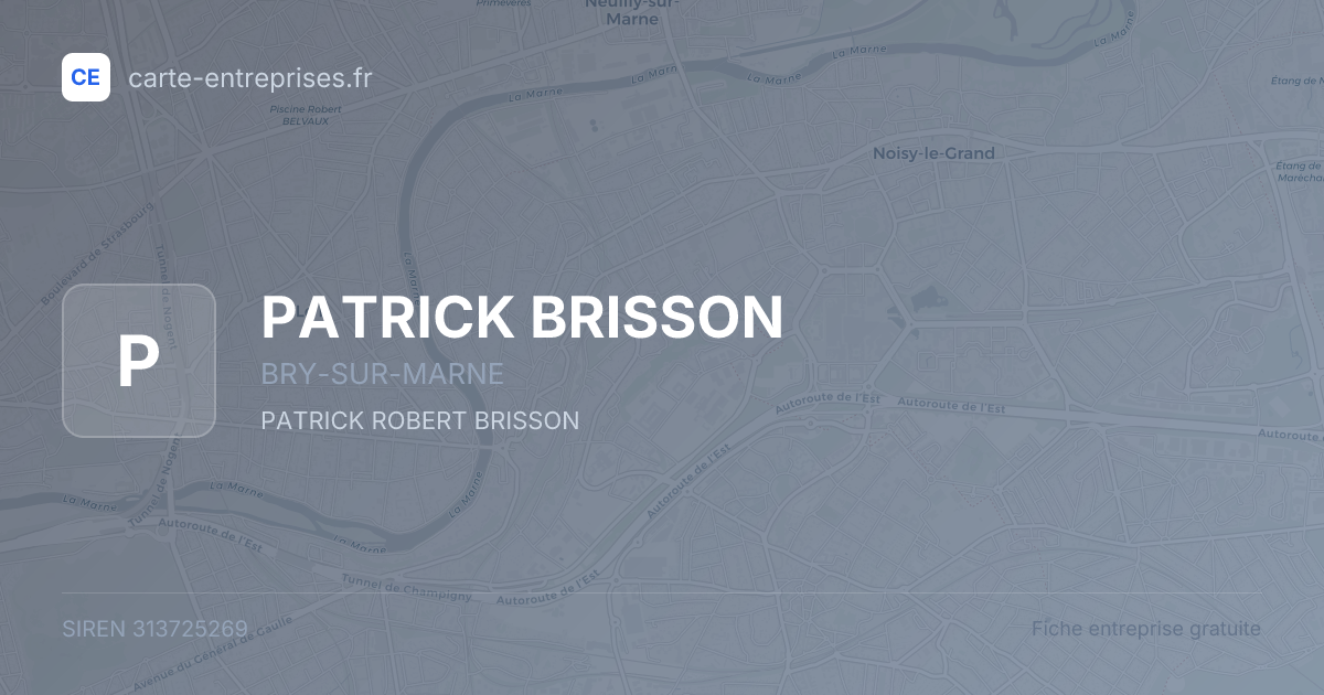 PATRICK BRISSON — 313725269 — fiche entreprise