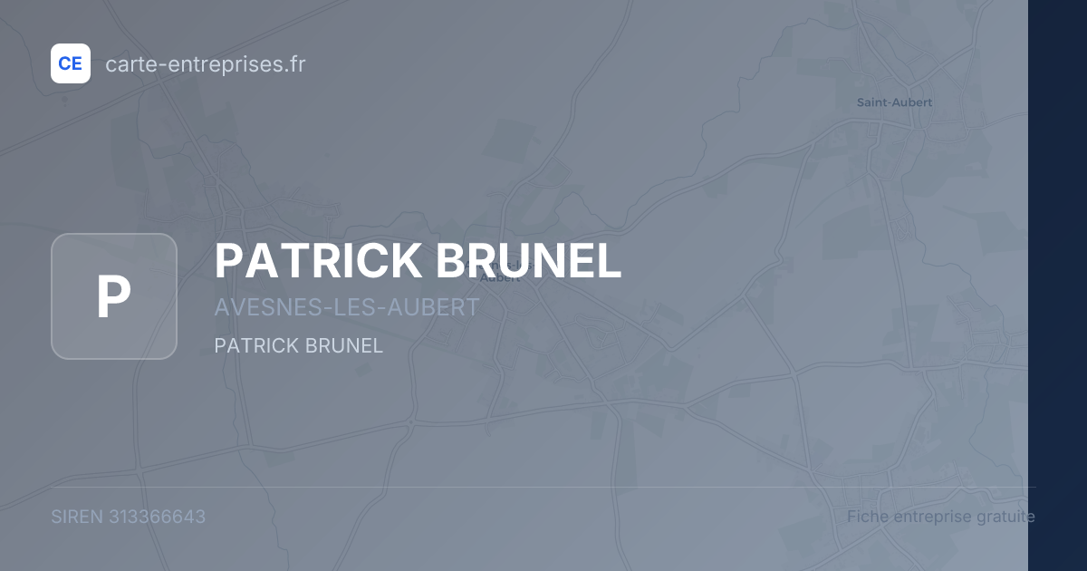 PATRICK BRUNEL — 313366643 — fiche entreprise