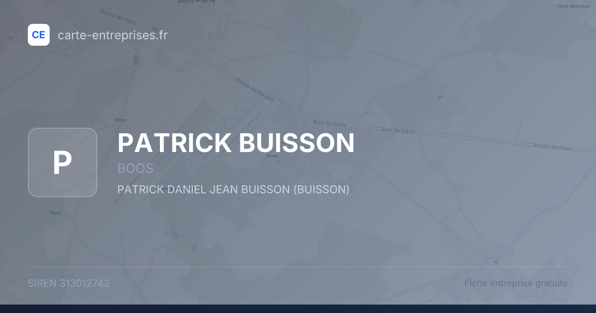 PATRICK BUISSON — 313012742 — fiche entreprise