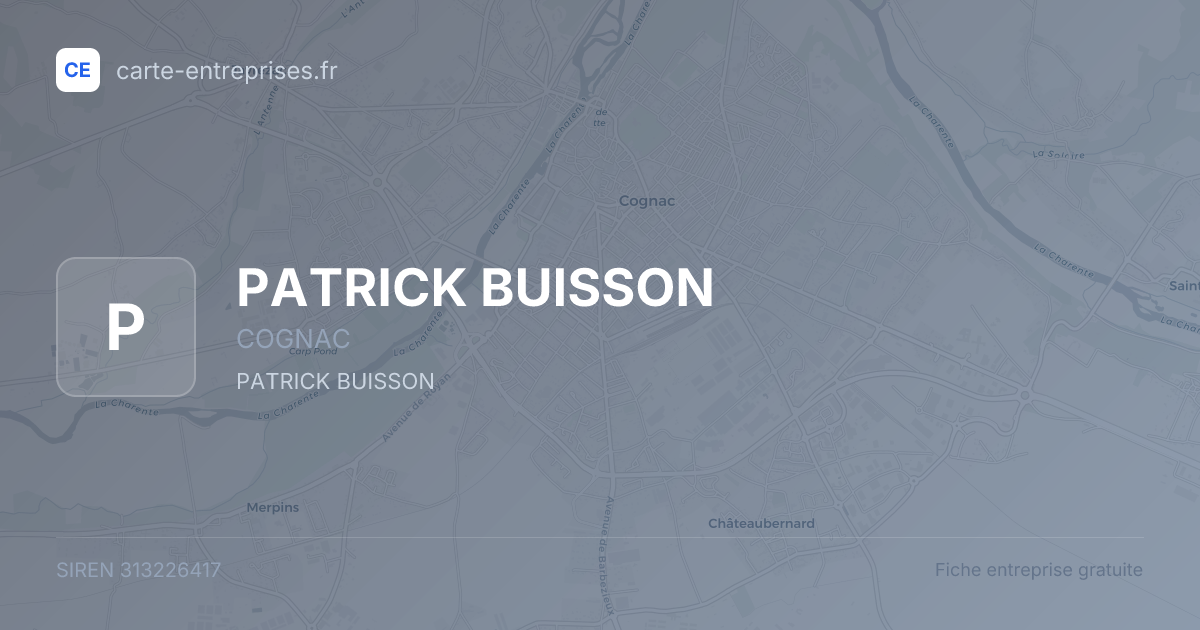 PATRICK BUISSON — 313226417 — fiche entreprise