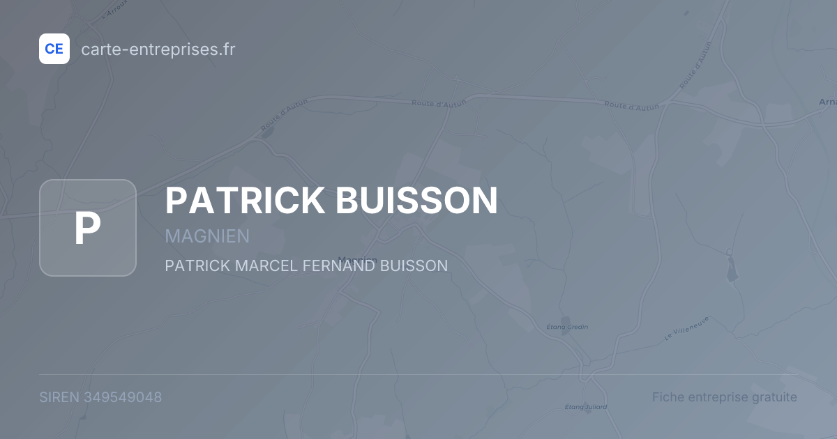 PATRICK BUISSON — 349549048 — fiche entreprise