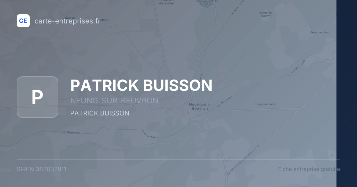 PATRICK BUISSON — 382032811 — fiche entreprise