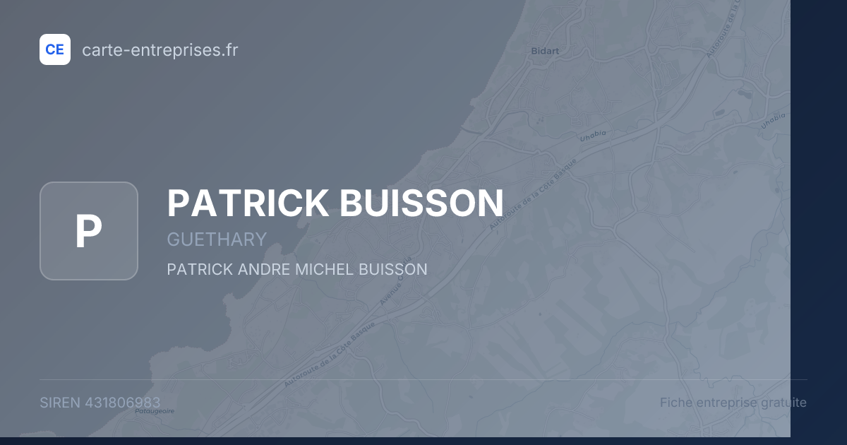 PATRICK BUISSON — 431806983 — fiche entreprise