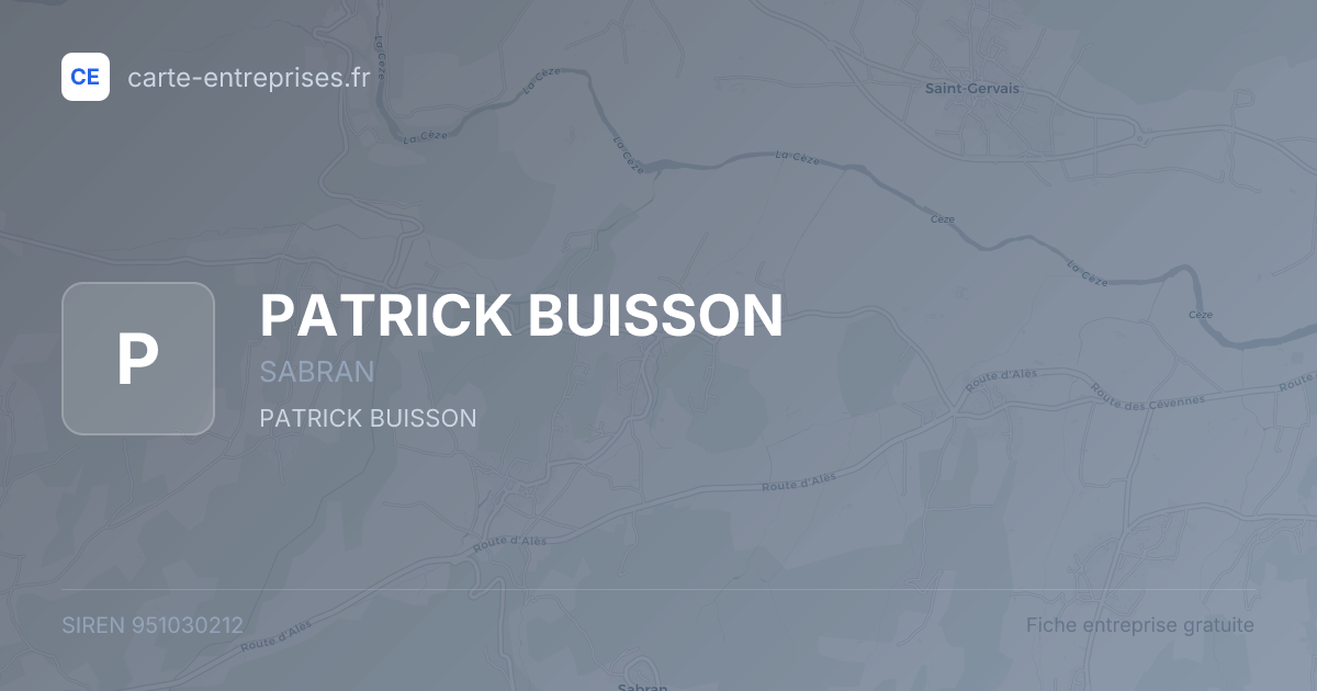 PATRICK BUISSON — 951030212 — fiche entreprise