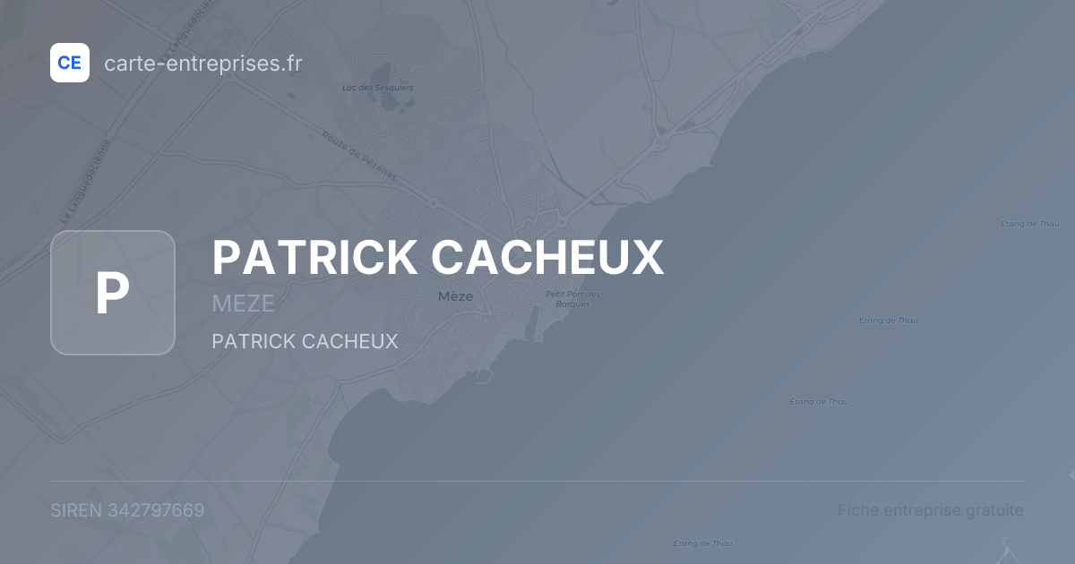 PATRICK CACHEUX — 342797669 — fiche entreprise