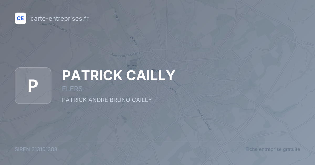 PATRICK CAILLY — 313101388 — fiche entreprise