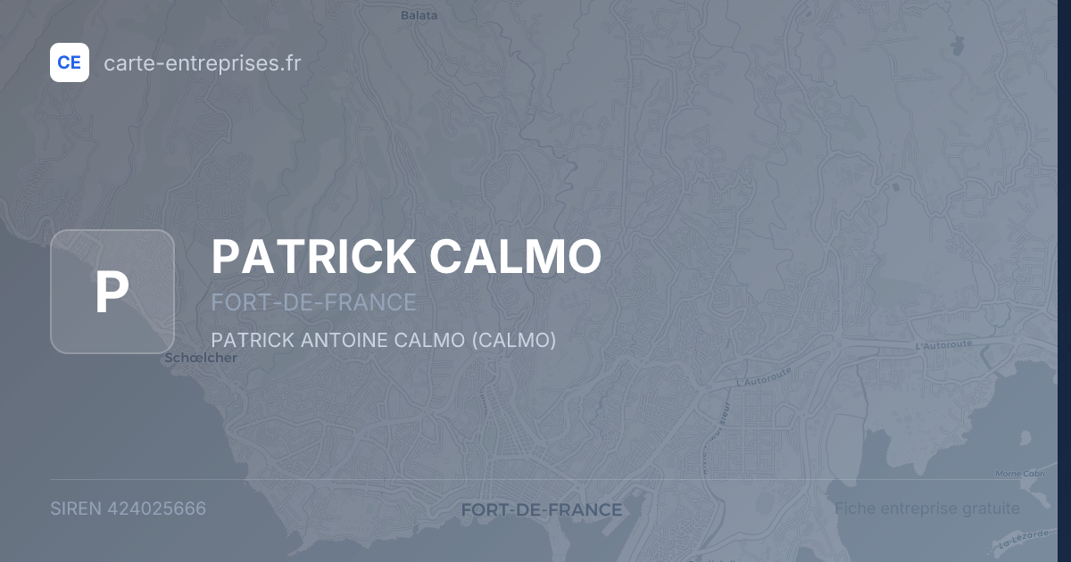 PATRICK CALMO — 424025666 — fiche entreprise