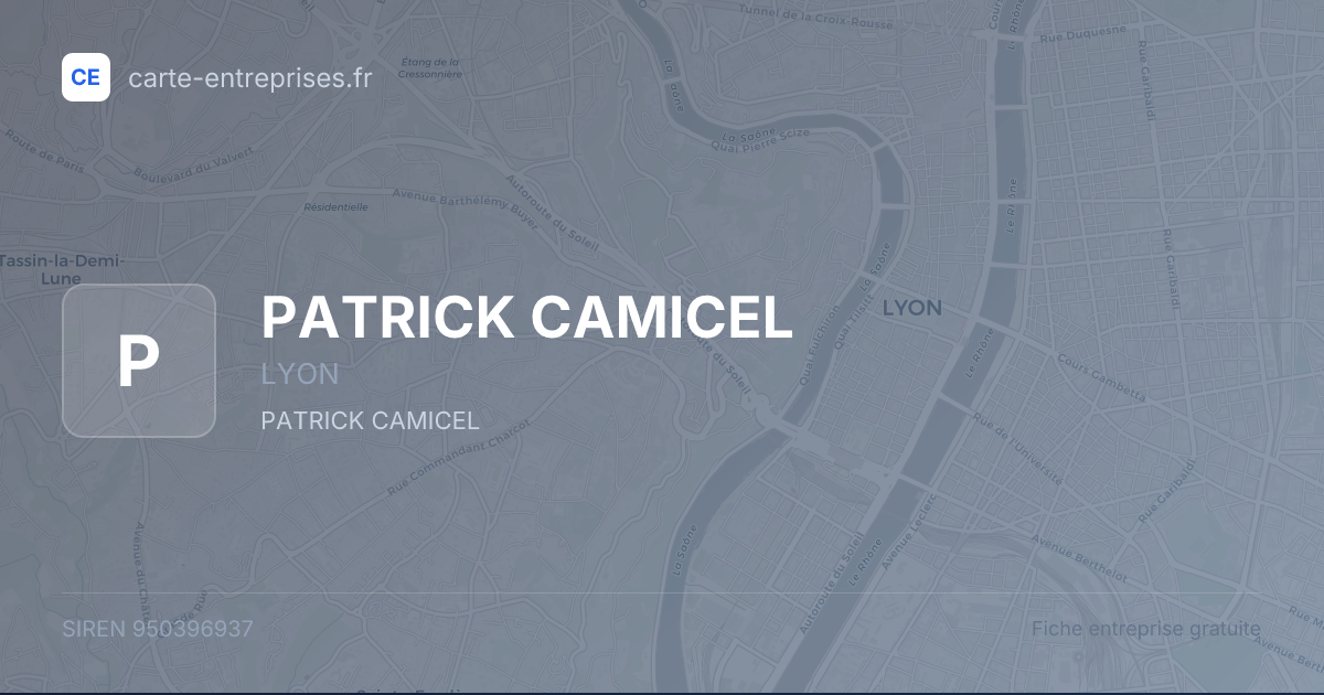 PATRICK CAMICEL — 950396937 — fiche entreprise