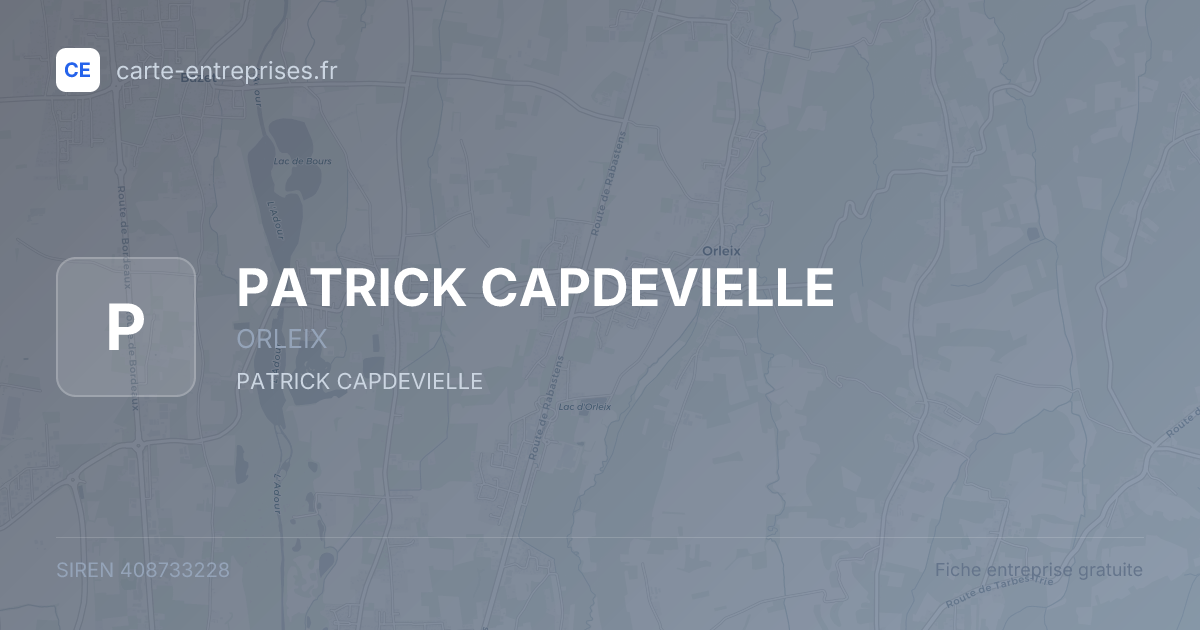 PATRICK CAPDEVIELLE — 408733228 — fiche entreprise