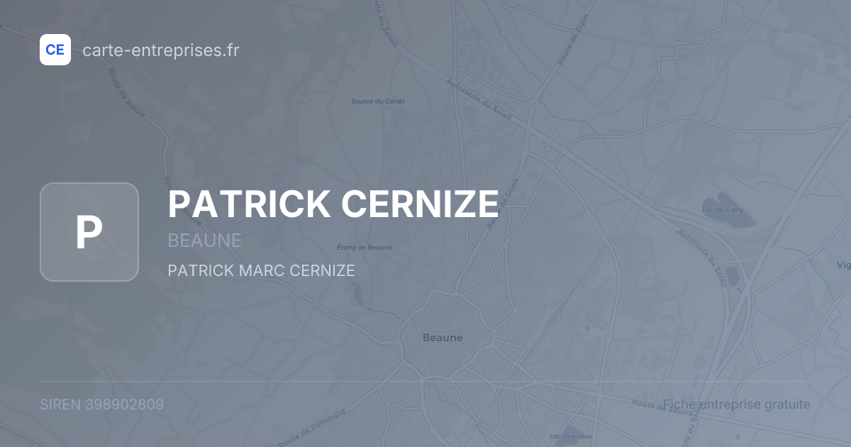 PATRICK CERNIZE — 398902809 — fiche entreprise