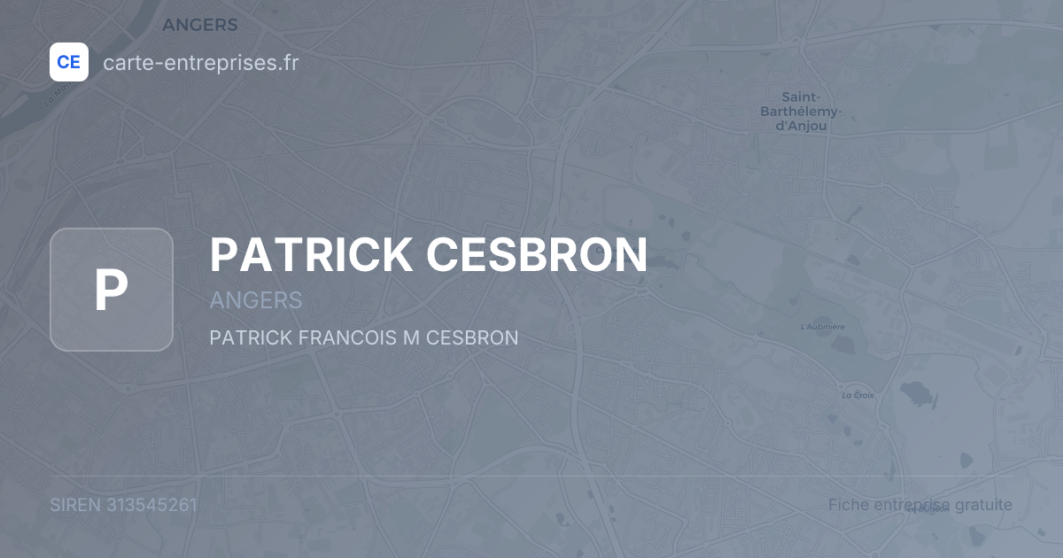 PATRICK CESBRON — 313545261 — fiche entreprise