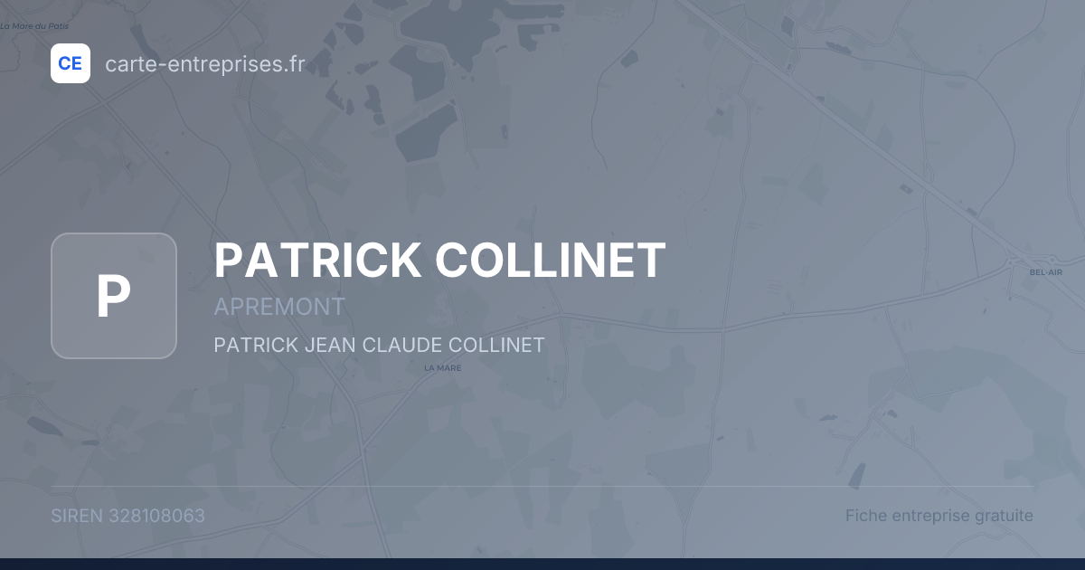 PATRICK COLLINET — 328108063 — fiche entreprise