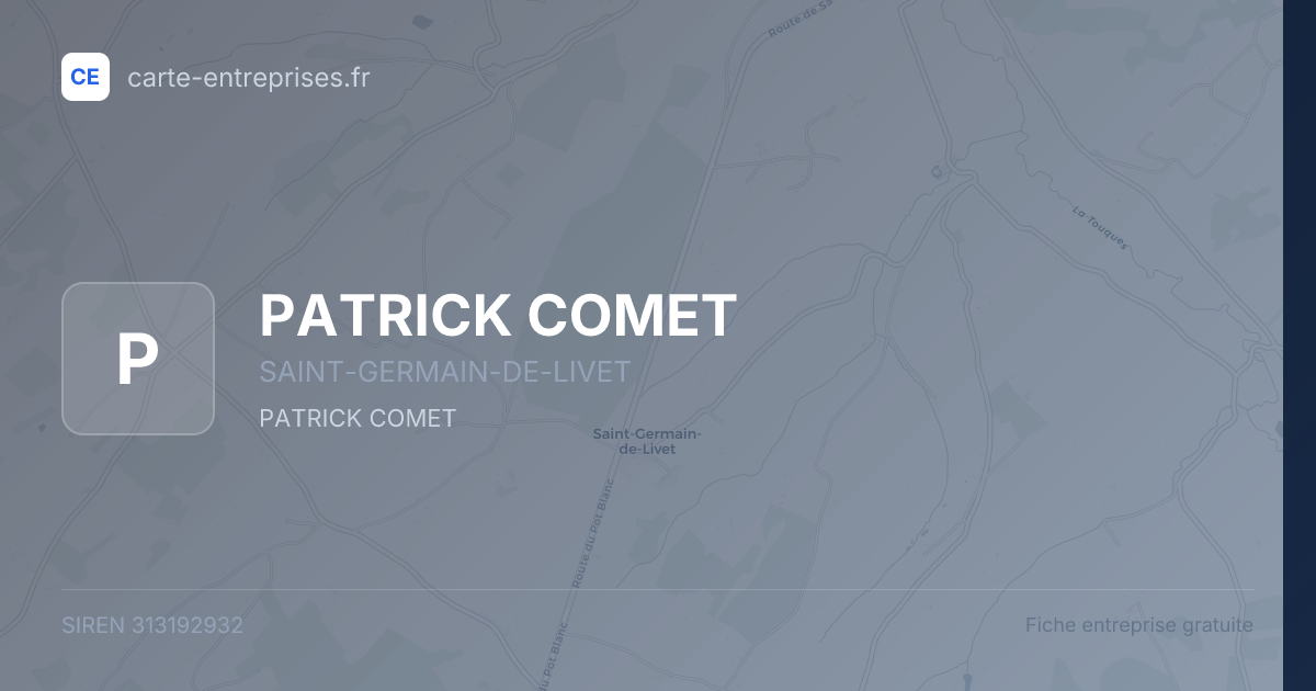 PATRICK COMET — 313192932 — fiche entreprise