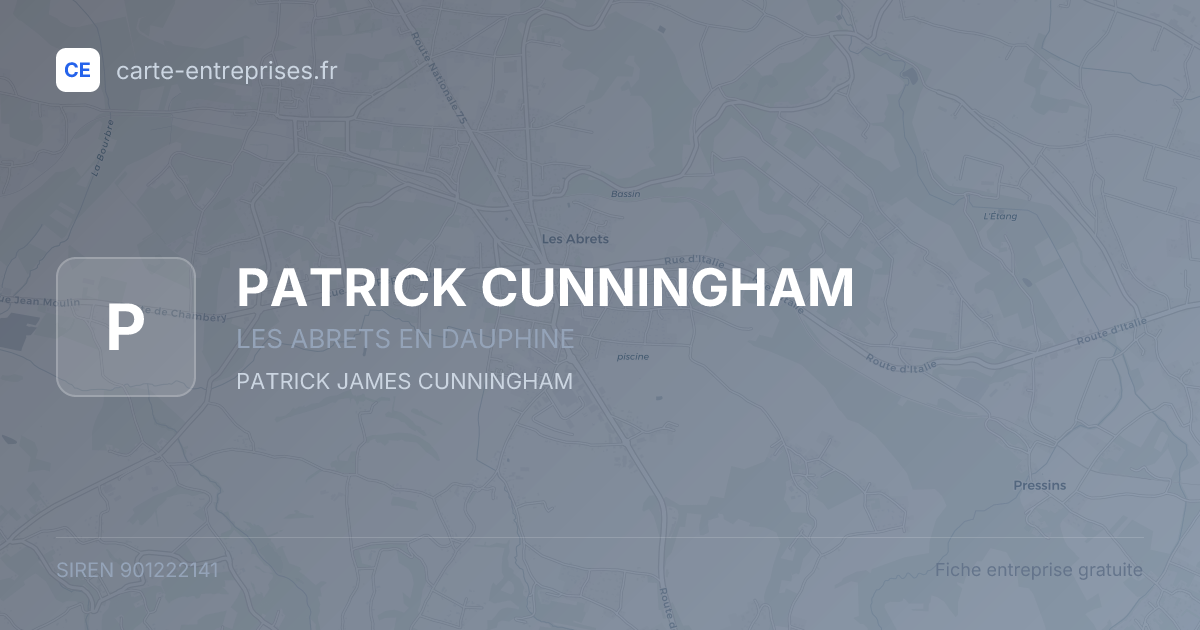 PATRICK CUNNINGHAM — 901222141 — fiche entreprise