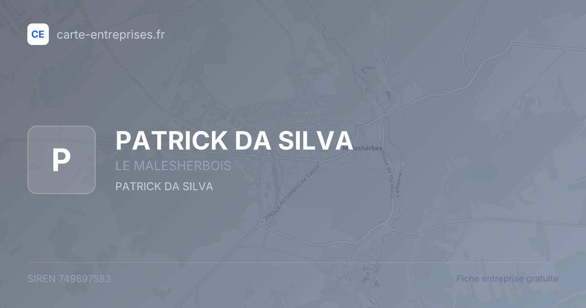 PATRICK DA SILVA — 749897583 — fiche entreprise