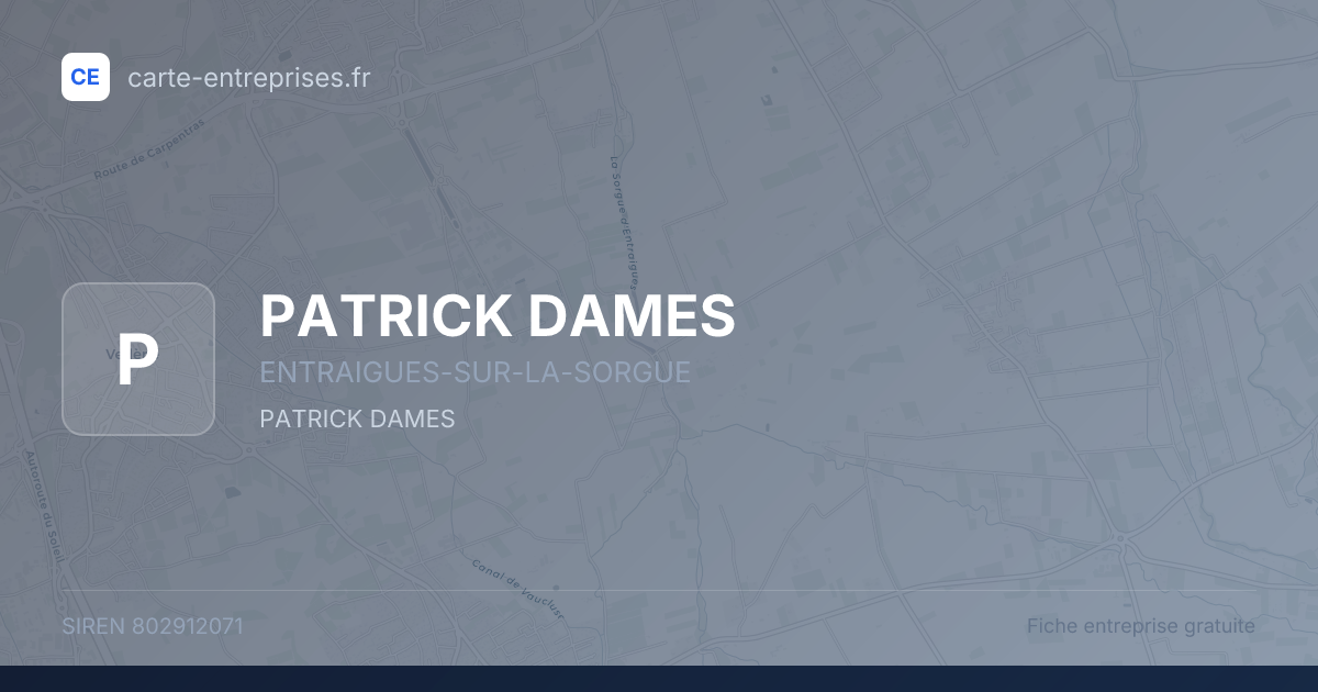 PATRICK DAMES — 802912071 — fiche entreprise