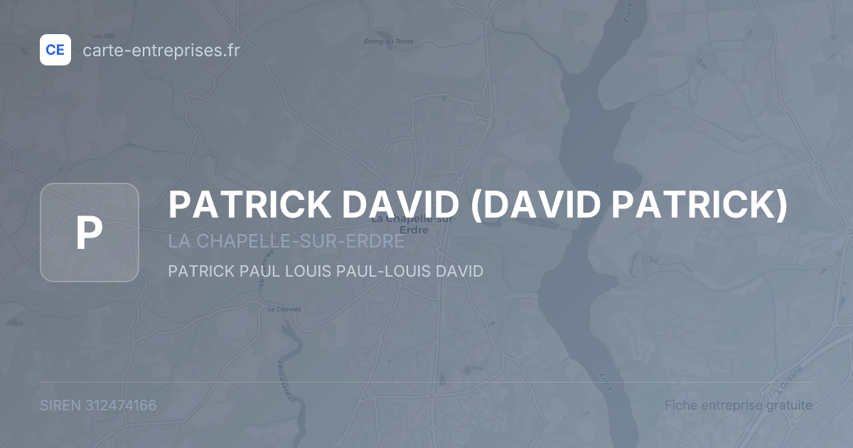 PATRICK DAVID (DAVID PATRICK) — 312474166 — fiche entreprise