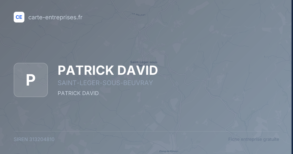 PATRICK DAVID — 313204810 — fiche entreprise