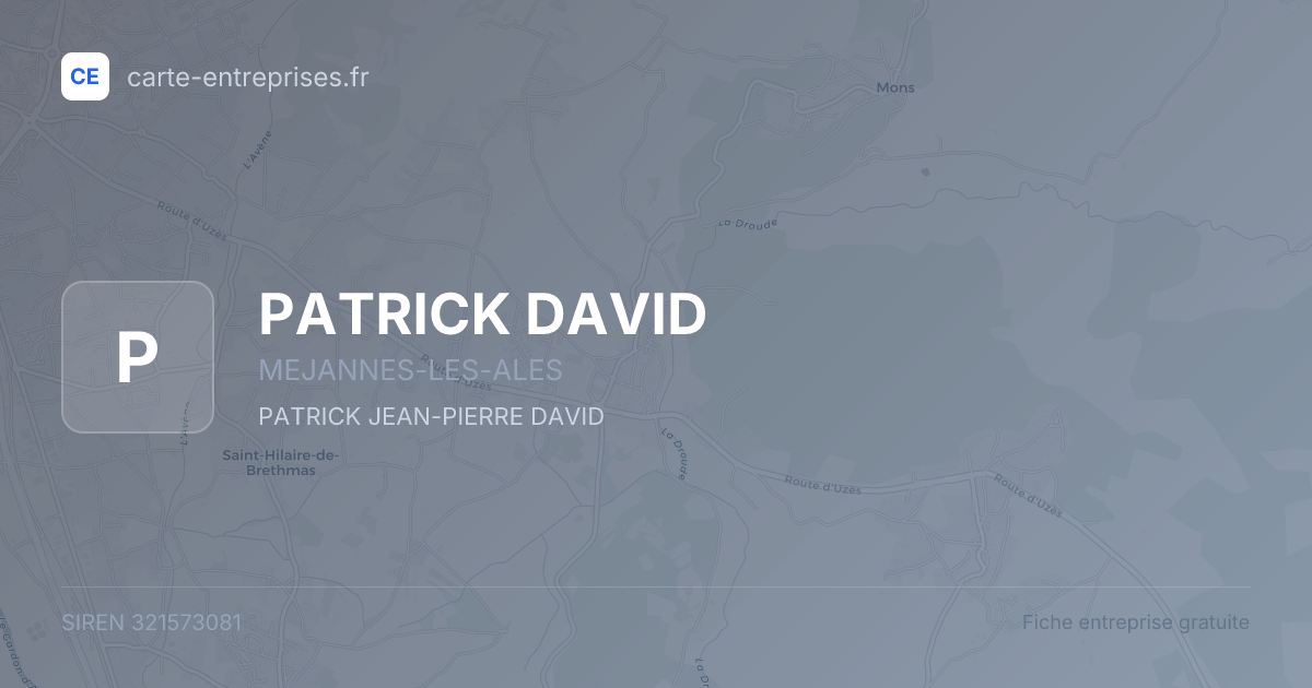 PATRICK DAVID — 321573081 — fiche entreprise