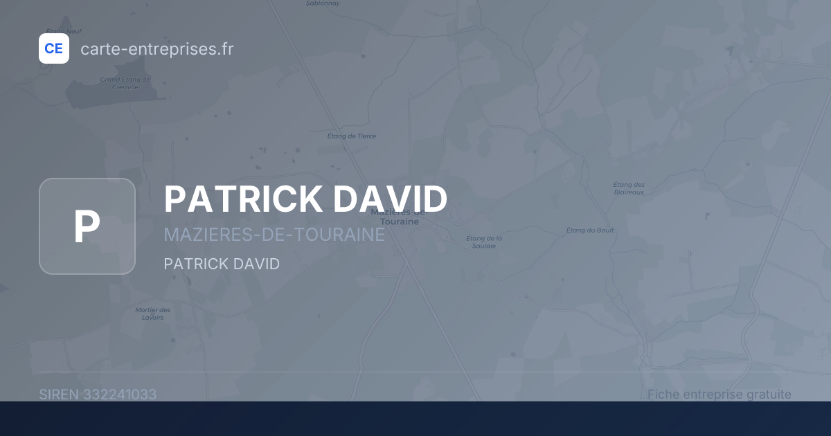 PATRICK DAVID — 332241033 — fiche entreprise