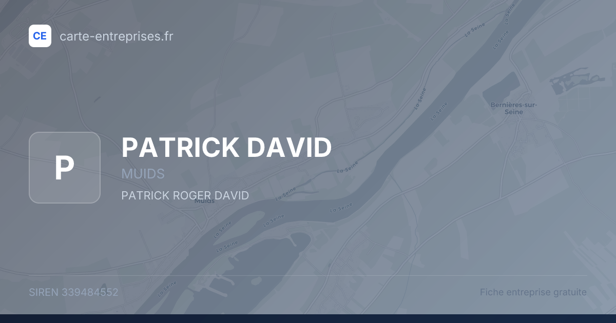 PATRICK DAVID — 339484552 — fiche entreprise