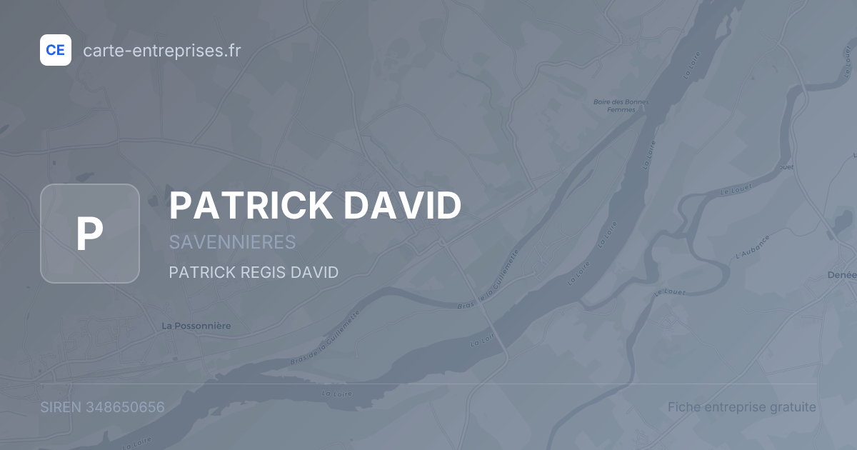 PATRICK DAVID — 348650656 — fiche entreprise