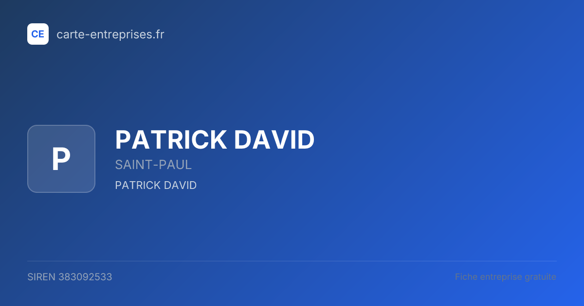 PATRICK DAVID — 383092533 — fiche entreprise