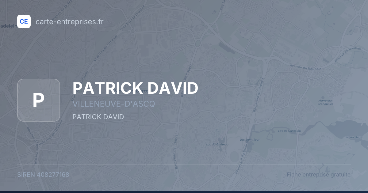 PATRICK DAVID — 408277168 — fiche entreprise