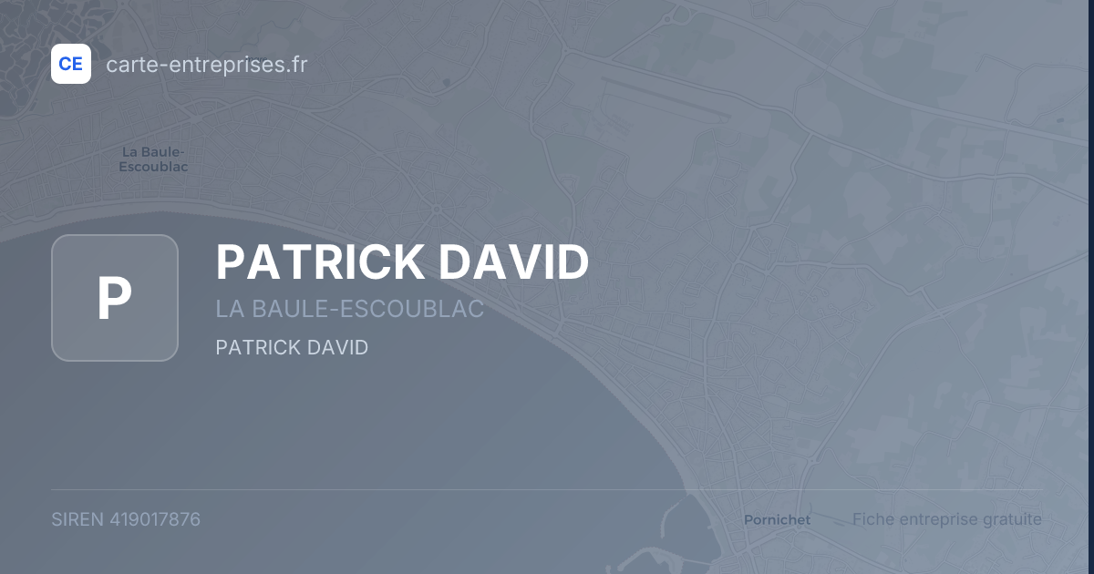 PATRICK DAVID — 419017876 — fiche entreprise