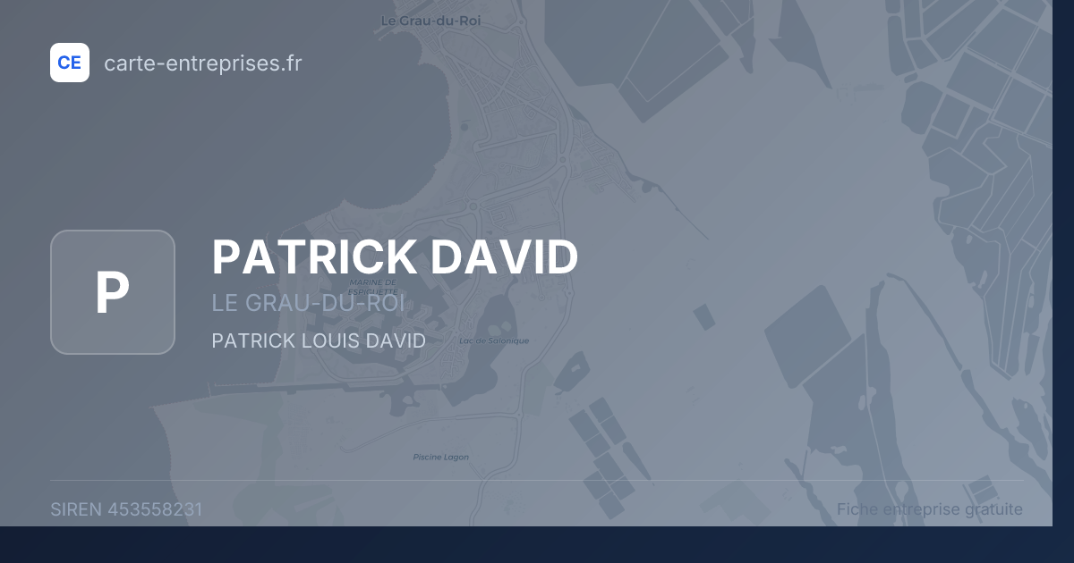 PATRICK DAVID — 453558231 — fiche entreprise