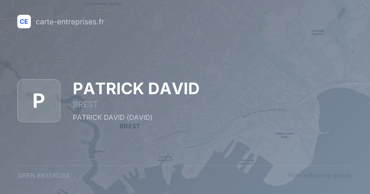PATRICK DAVID — 883516288 — fiche entreprise
