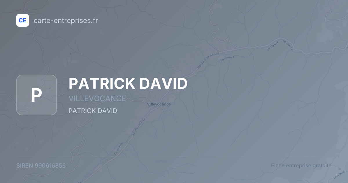 PATRICK DAVID — 990616856 — fiche entreprise