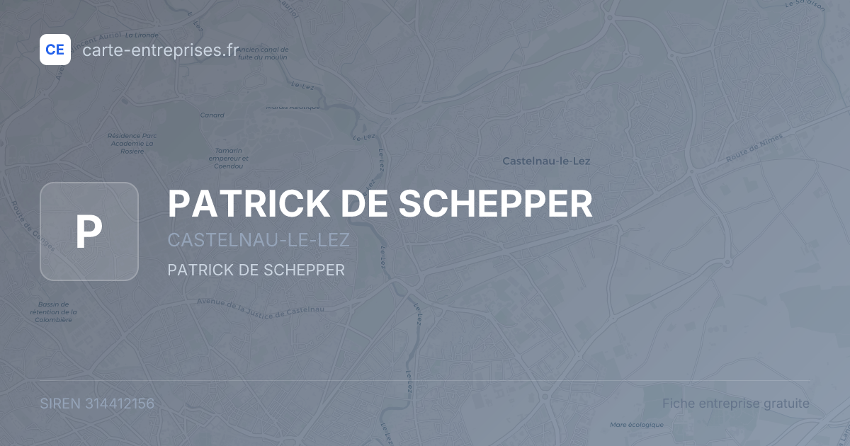 PATRICK DE SCHEPPER — 314412156 — fiche entreprise