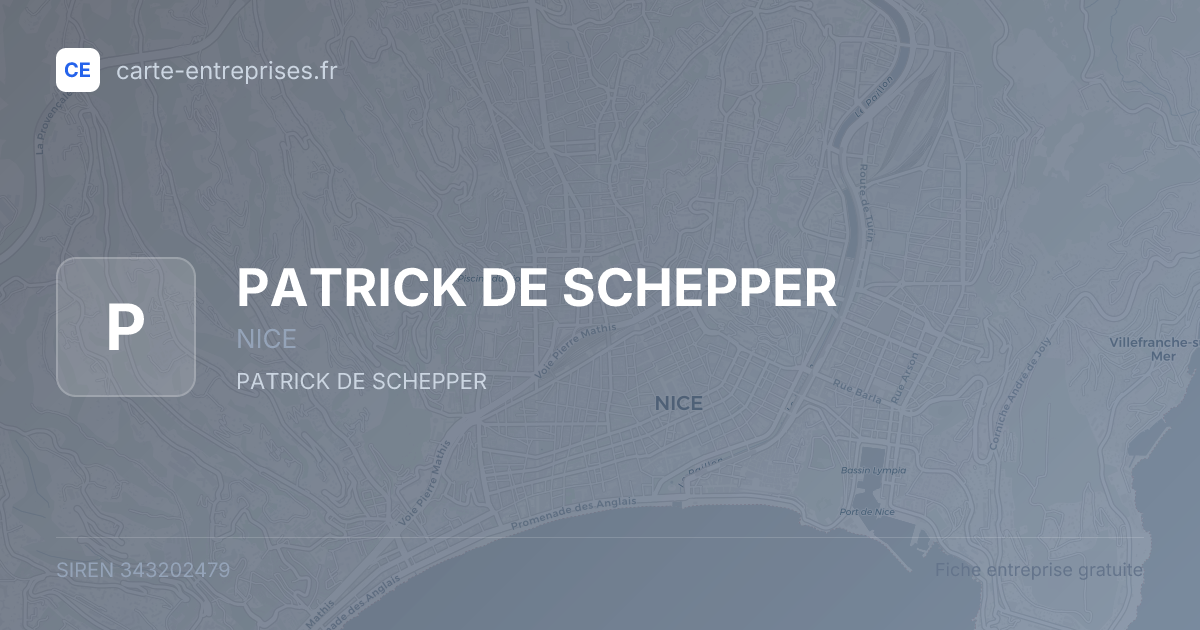 PATRICK DE SCHEPPER — 343202479 — fiche entreprise