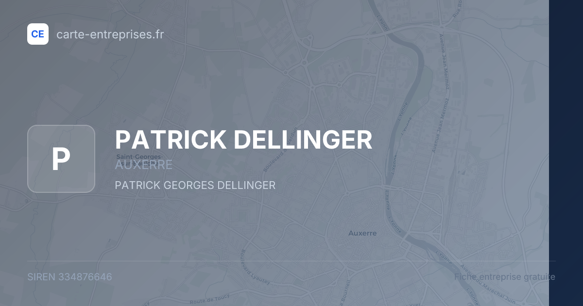 PATRICK DELLINGER — 334876646 — fiche entreprise