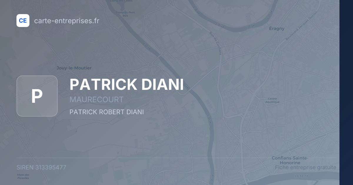 PATRICK DIANI — 313395477 — fiche entreprise