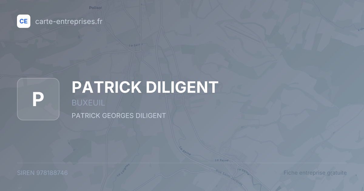 PATRICK DILIGENT — 978188746 — fiche entreprise