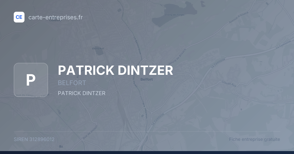 PATRICK DINTZER — 312896012 — fiche entreprise