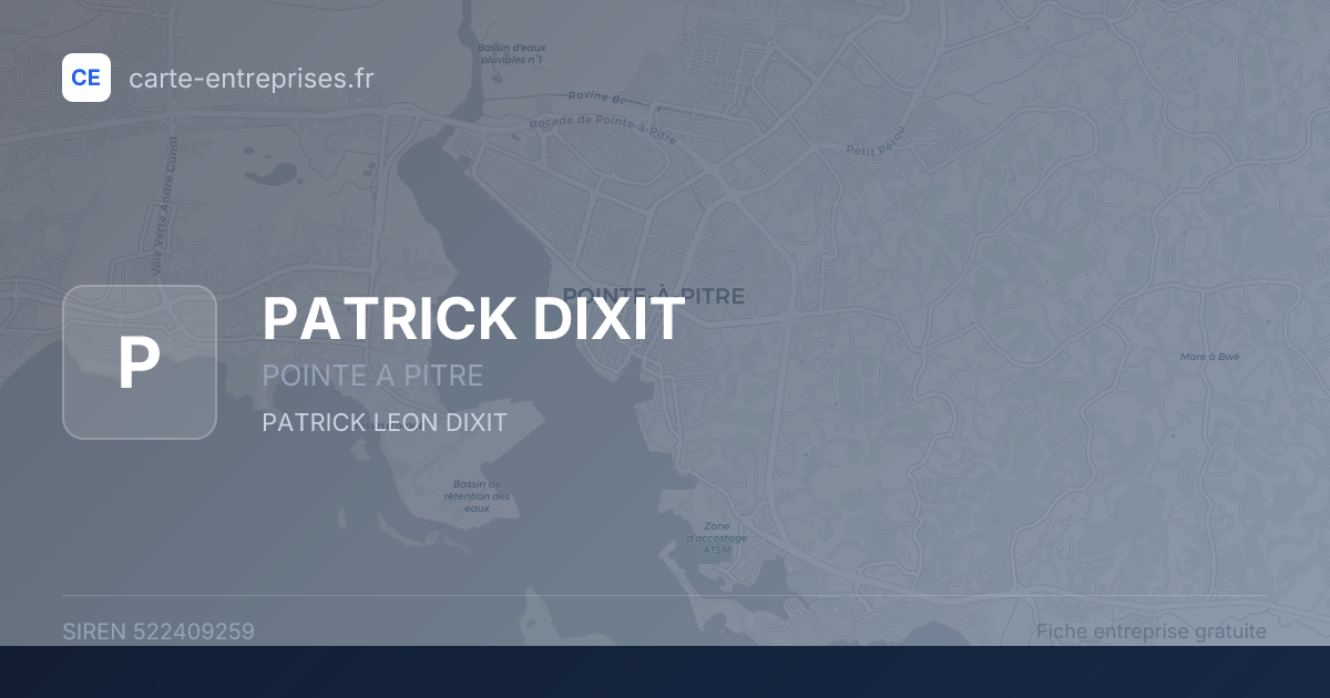 PATRICK DIXIT — 522409259 — fiche entreprise