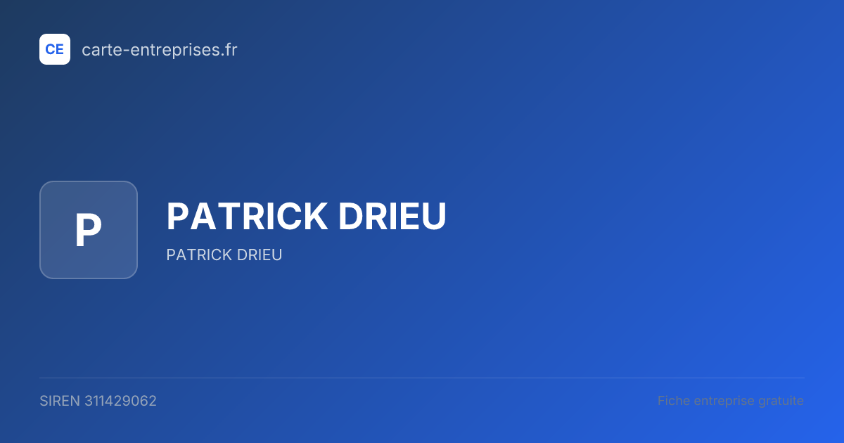 PATRICK DRIEU — 311429062 — fiche entreprise