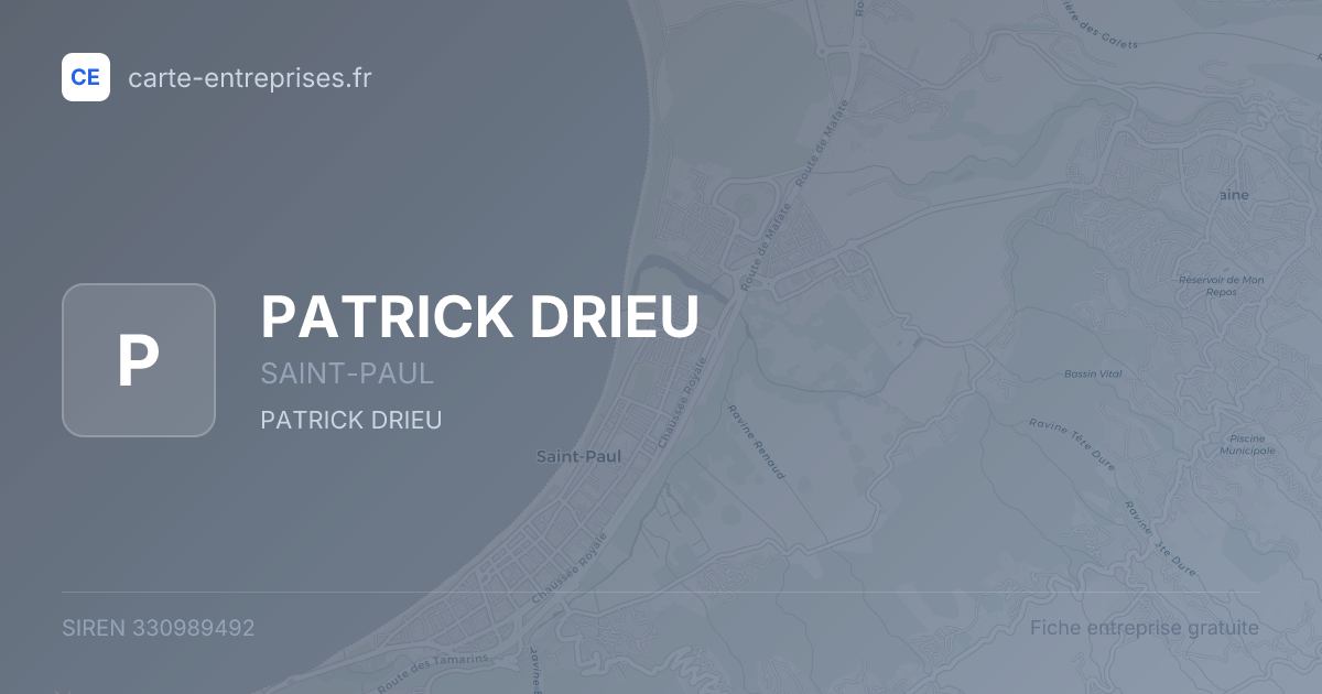 PATRICK DRIEU — 330989492 — fiche entreprise
